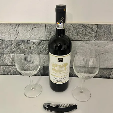 Prime 2 - Half Ground Level With Windows - Demisol Bukarest