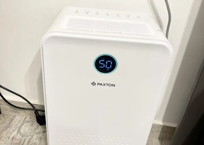 Apartment Prime 2 - Half Ground Level With Windows - Demisol