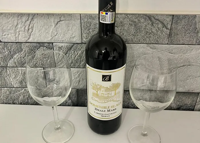 Prime 2 - Half Ground Level With Windows - Demisol Bukarest